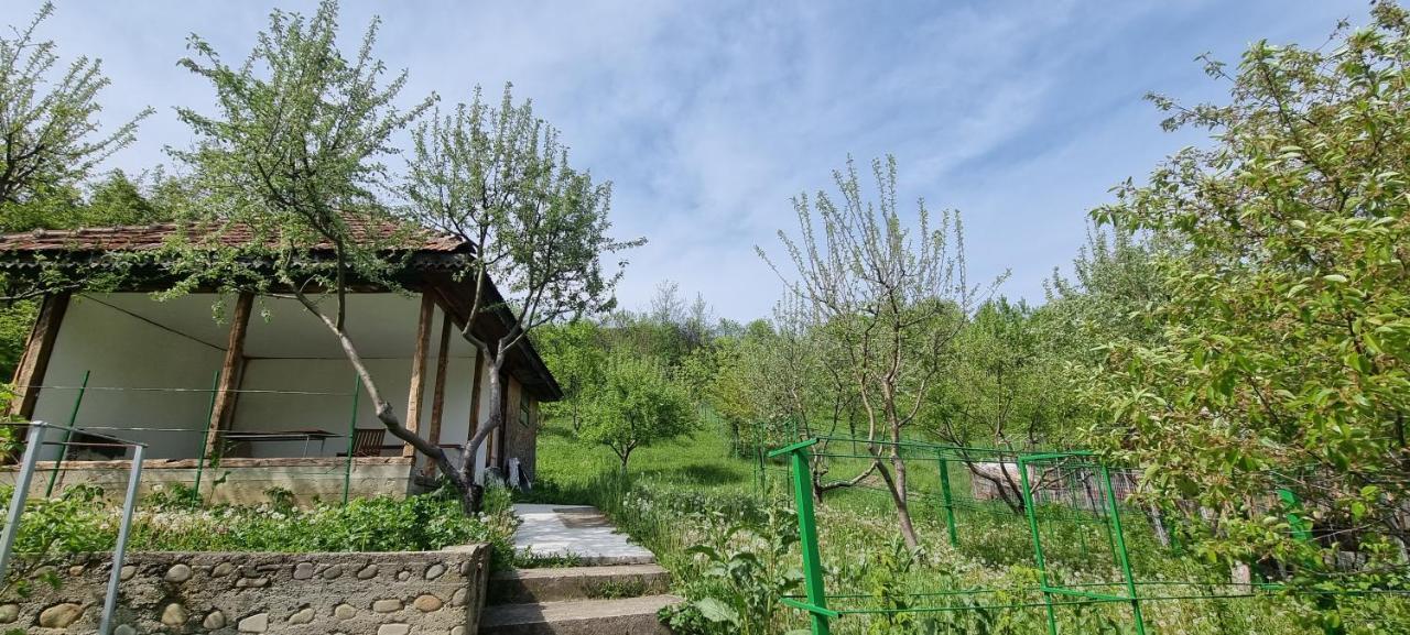 Cervo Mountain House Villa Nehoiu Exterior photo